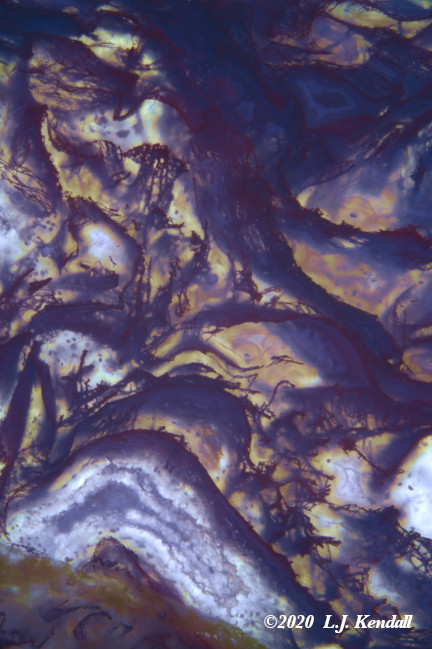 Blood Vein Agate img