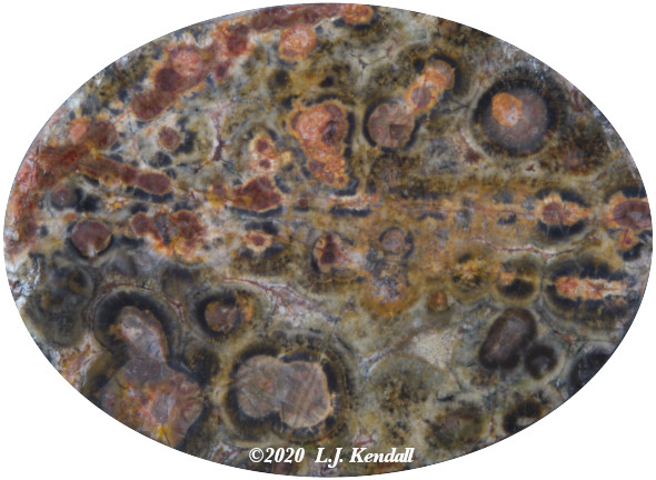 Leopardskin Jasper img