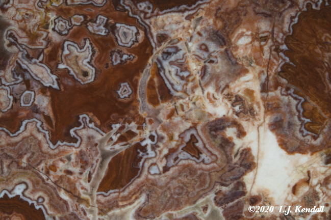 Rosetta Picture Jasper img